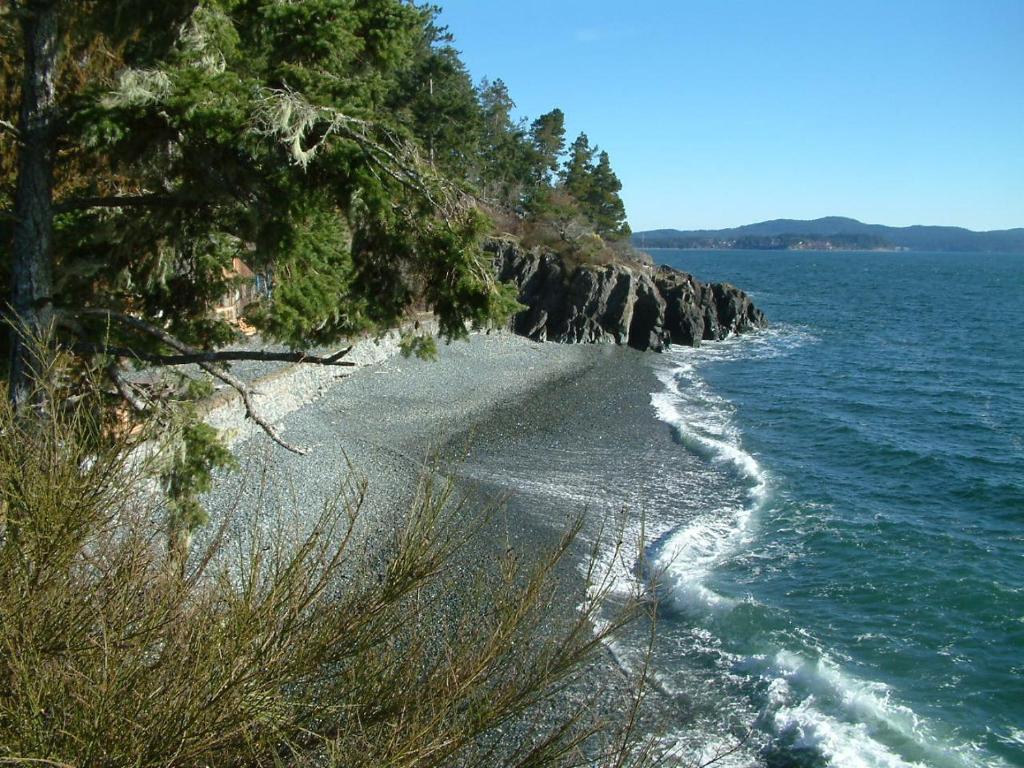 Orca View Cottage Sooke Exterior photo